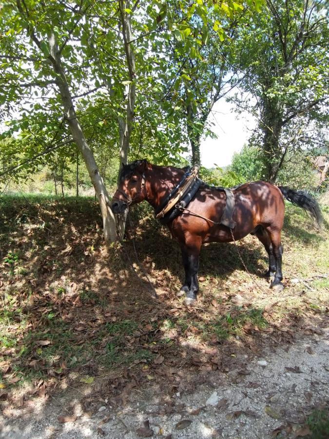 Country House Bihac Luaran gambar