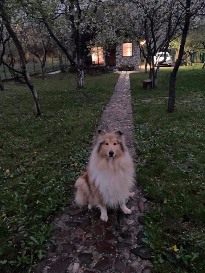 Country House Bihac Luaran gambar